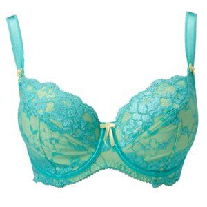 Pour Moi? Amour Lace Full Cup Bra 40D
